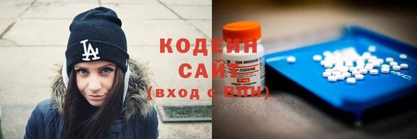 ГАЛЛЮЦИНОГЕННЫЕ ГРИБЫ Абаза