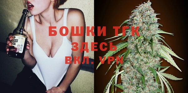 ГАЛЛЮЦИНОГЕННЫЕ ГРИБЫ Абаза