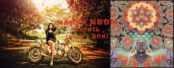 кокс Новозыбков